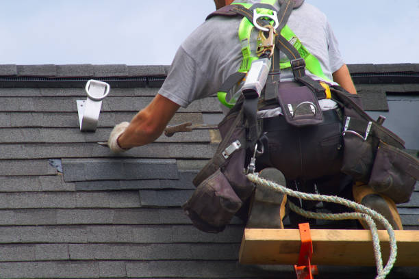 Best Storm Damage Roof Repair  in Daleville, IN