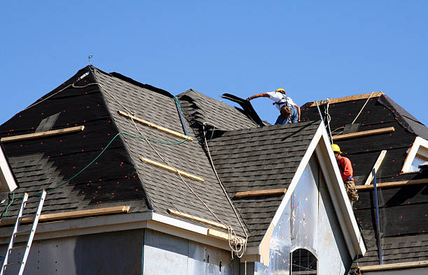 Best Roof Repair Services  in Daleville, IN
