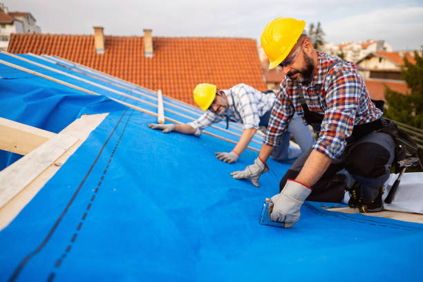 Best Roof Waterproofing Services  in Daleville, IN