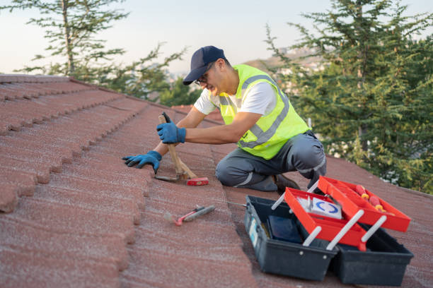 Best Roof Replacement Cost  in Daleville, IN
