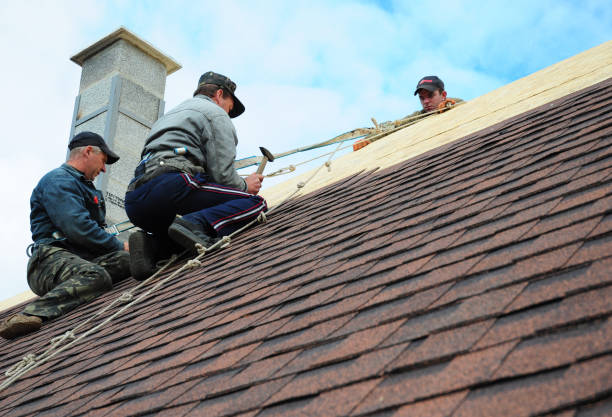 Best Gutter Installation and Roofing  in Daleville, IN