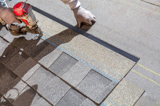 Best Residential Roofing Contractor  in Daleville, IN